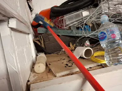 Wolverhampton supermarket fined £3k for rat droppings and gnawed food