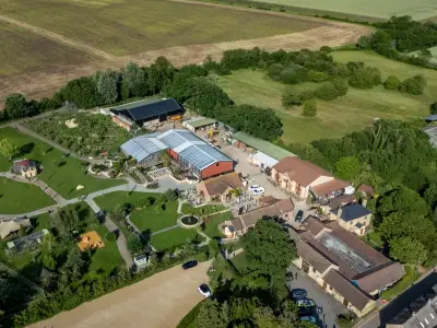 Zoo Staff Praised as 'Heroic' After Boy, 3, Thrown into Crocodile Enclosure