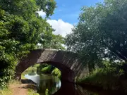 Amber Health Alert Issued as 32C Heat Blast to Hit West Midlands
