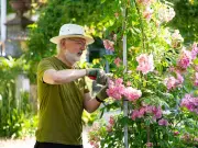 Hedge Trimming in July Risks Unlimited Fine and Prison Sentence