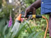 Hosepipe Bans Issued Across UK as Heatwave Forecast Sparks Water Restrictions