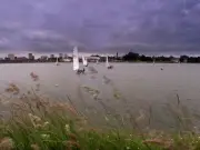 Man in his 20s dies after drowning in Edgbaston Reservoir