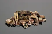 Staffordshire Hoard Returns to Birmingham Museum and Art Gallery