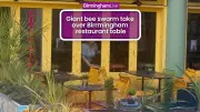 Thousands of Bees Swarm Outside Las Iguanas in Birmingham City Centre