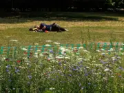 UK Faces 7 Days Over 30°C with Exact End Date of July Heatwave Confirmed